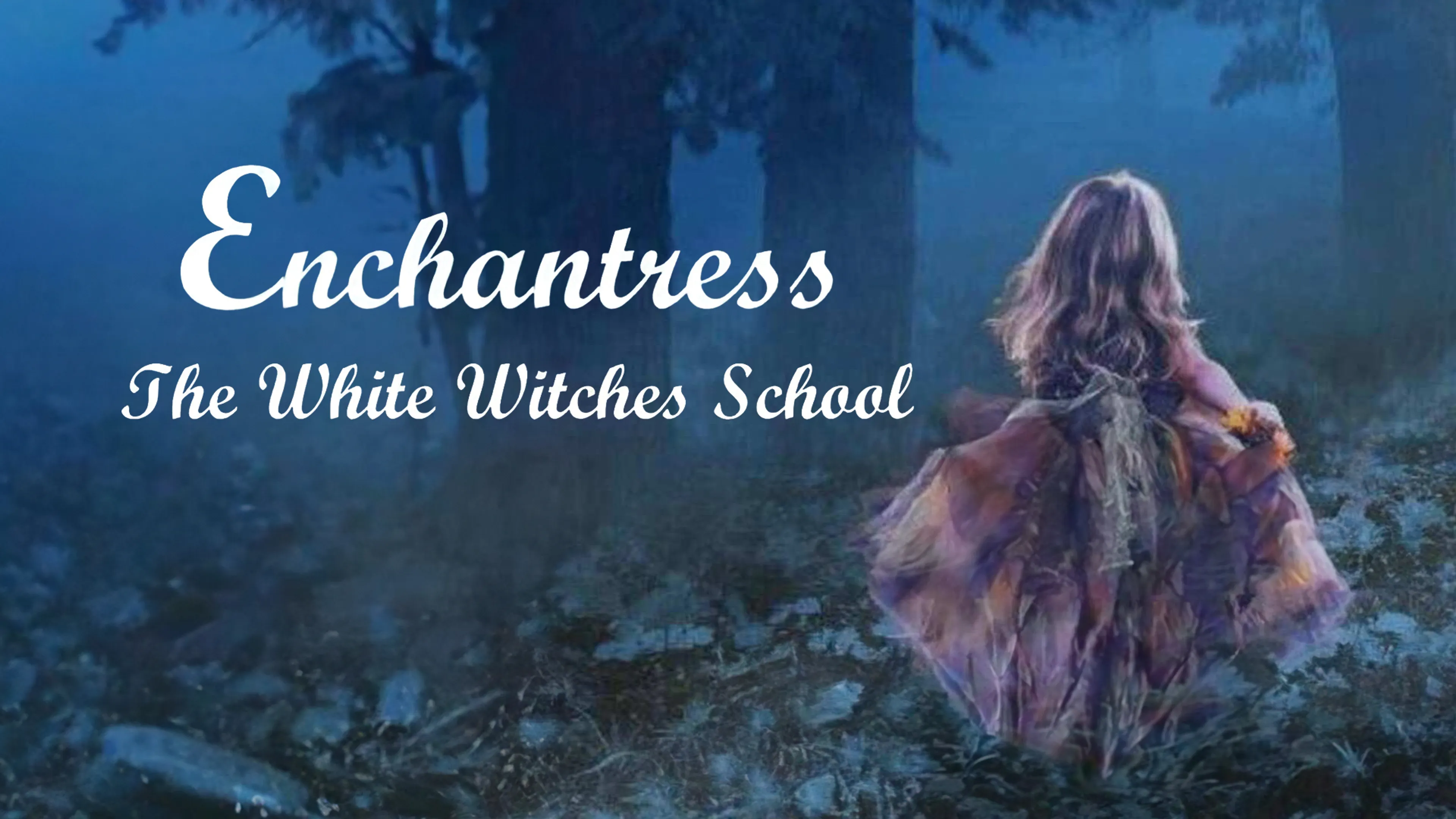 Enchantress: The White Witches School poster